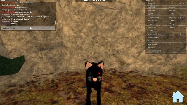 СТАЛ КОТОМ В РОБЛОКСЕ ! ( ROBLOX ) смотреть онлайн