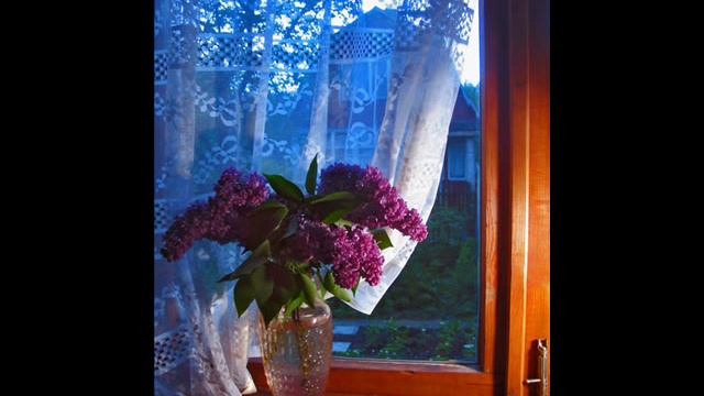 Сиреневый вечер смотреть онлайн