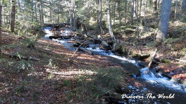 SENTIER DE L'OURS - PARC NATUREL RÉGIONAL DE PORTNEUF смотреть онлайн