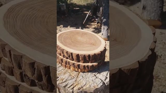 Спилы вяза (карагач) смотреть онлайн