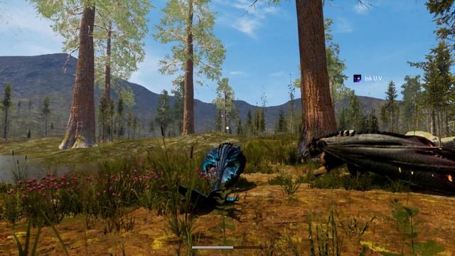 DAY OF DRAGONS ВЗРОСЛЫЙ ПЛАЗМА ДРАКОН ПОЛЕТ И МИГРАЦИЯ смотреть онлайн