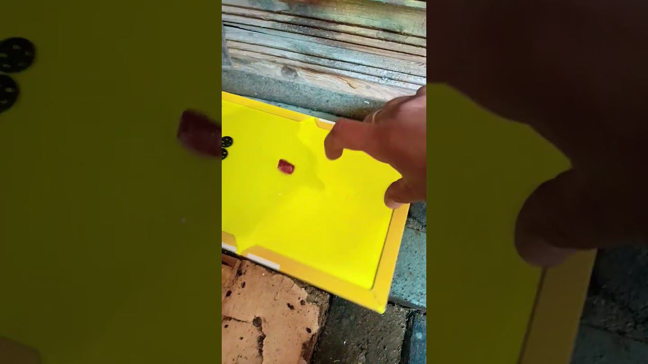 Ловушка в гараже для незваных гостей смотреть онлайн