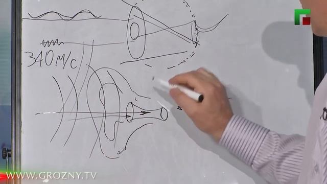 Спрошу у Султана, Как чувствуют животные и люди