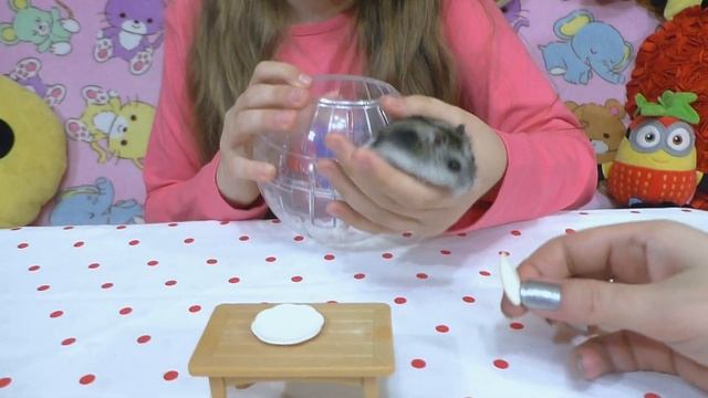 10 блюд для ХОМЯКА. Ты не поверишь что ОНИ едят // Построили РЕСТОРАН для ЖОРИКА смотреть онлайн