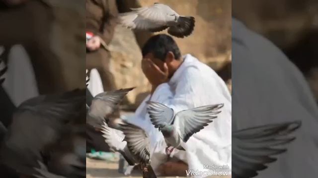 Не бросайте родителей смотреть онлайн