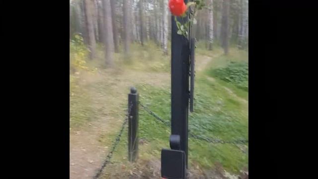Настоящее место захоронения Романовых(Не Ганина яма). Могила цесаревича Алексея и княжны Анны. смотреть онлайн