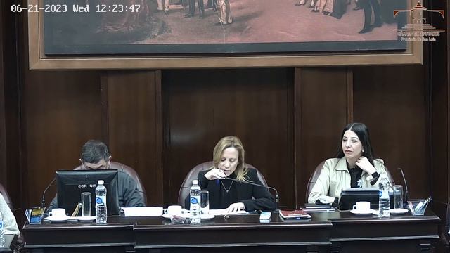 X Sesión Ordinaria 21 de junio de 2023. смотреть онлайн