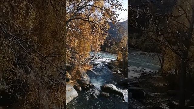 ПУТЕШЕСТВИЕ ПО АЛТАЮ из ГОРОДА СОЛНЦА ЗВЕНИГРАД. Наталия Безрукова. Мир Универсологии смотреть онлайн