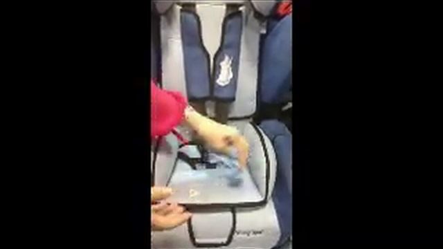 Чистка ткани на автокреслах RECARO