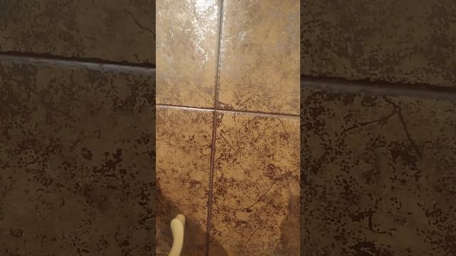 Махачкала Яндекс кидалова смотреть онлайн