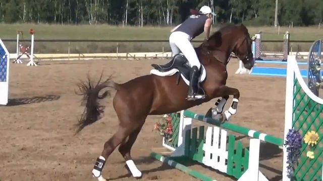 Фрося конкур 28 августа 2013 смотреть онлайн