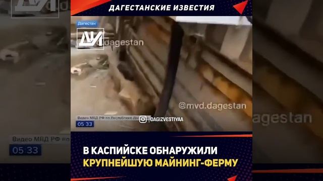 В Каспийске нашли крупнейшую майнинг-ферму смотреть онлайн