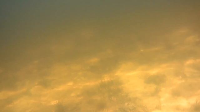 Святое озеро. Ивановская область 2021г