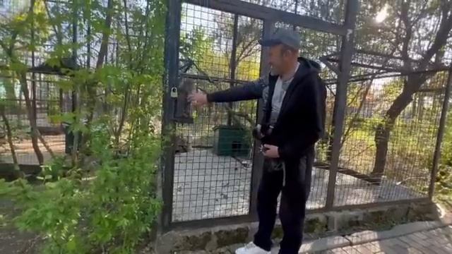 Мы возвращаемся домой, так страшно, когда ты видишь страдания и не можешь ничем помочь… смотреть онлайн