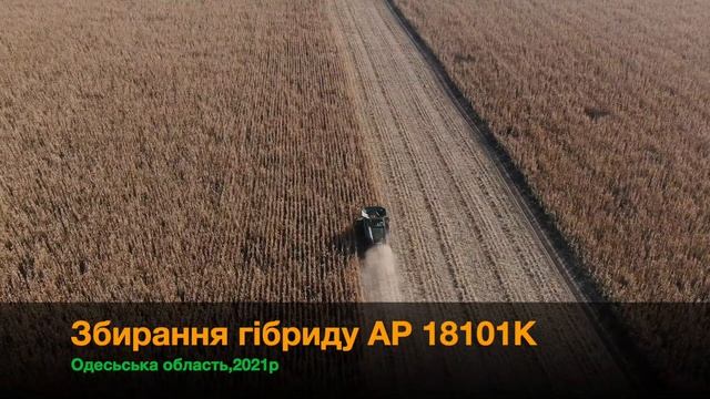 СЕМЕНА КУКУРУЗЫ:ЧТО НУЖНО ЗНАТЬ ЧТО БЫ СЭКОНОМИТЬ?ЧТО ТАКОЕ ФАО? смотреть онлайн