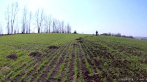 Ротационная борона.2018.г