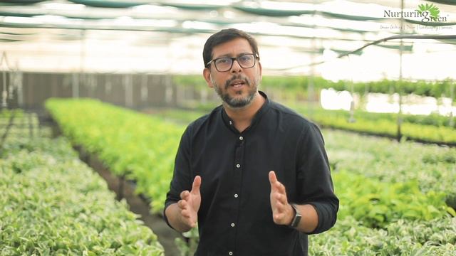 Know Your Plant Better with Nurturing Green | #industryfirst смотреть онлайн