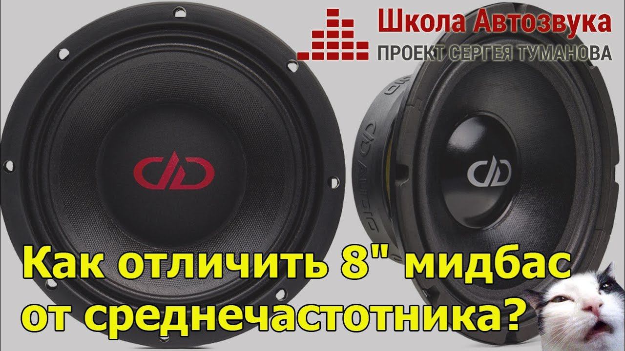 Как отличить 8-дюймовый мидбас от среднечастотника?