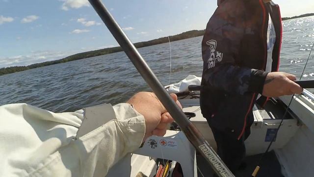 Ловим Судака В Конце Лета, Море рыбы! (Судак на Джиг Летом 2021) (День 2) смотреть онлайн