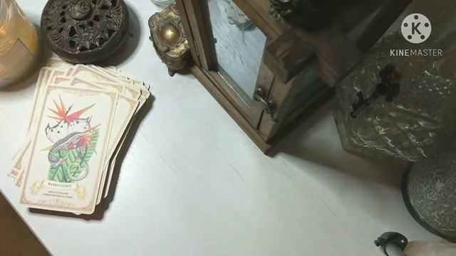 Enchanted Blossoms Oracle Review And Flip Through смотреть онлайн