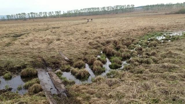 Поездка на рыбалку. Шоок укусил клещ?