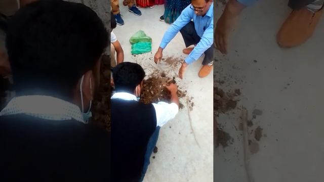 Demonstration on Quick compost preparation смотреть онлайн