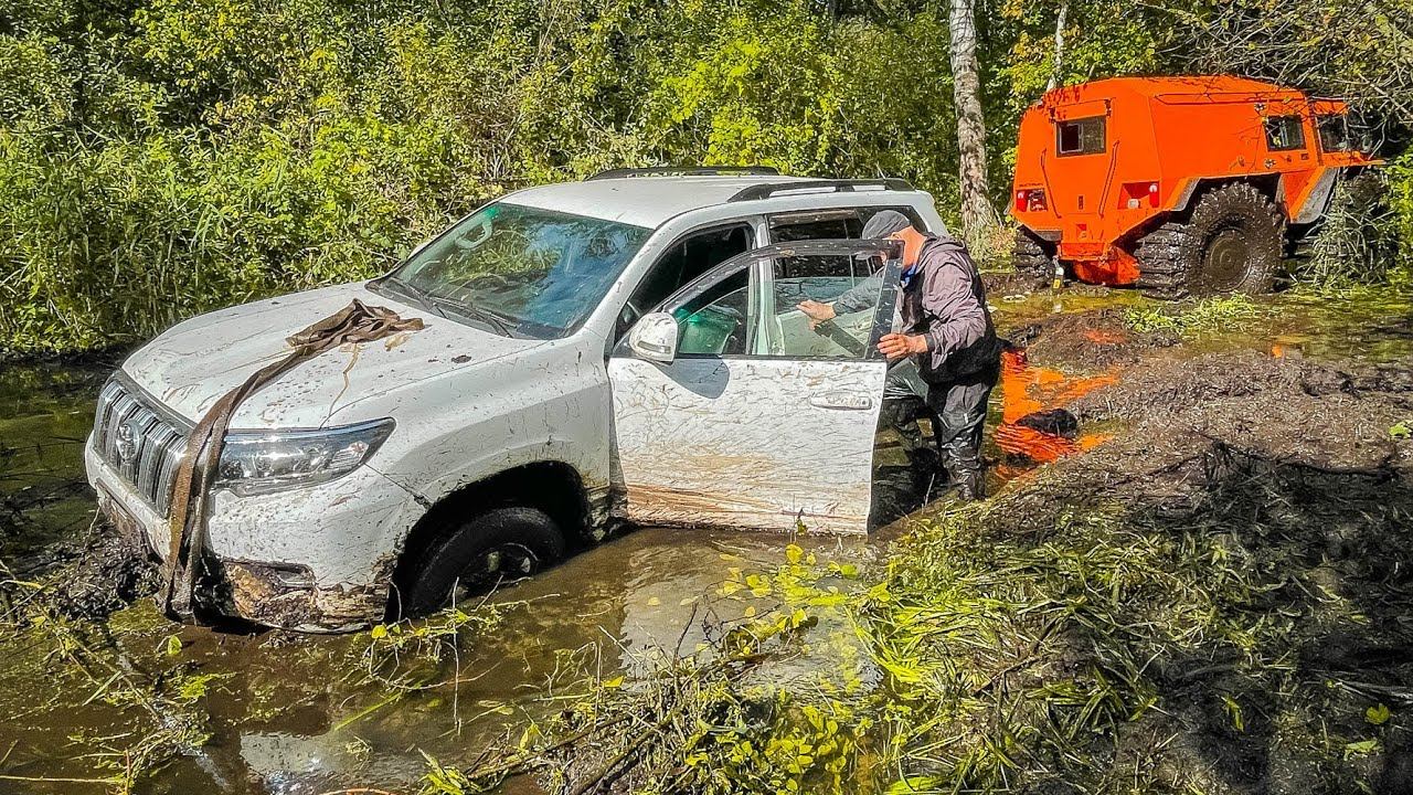 Что может TOYOTA PRADO против ВЕЗДЕХОДОВ на БЕЗДОРОЖЬЕ? ТЕПЕРЬ ЕГО НЕ ПРОДАТЬ... смотреть онлайн