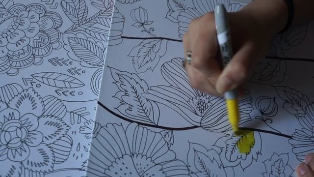 Adult Colouring Storage Box Botanical Patterns With Sharpies! смотреть онлайн