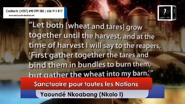 Diffusion en direct de ORACLE SAT TV смотреть онлайн