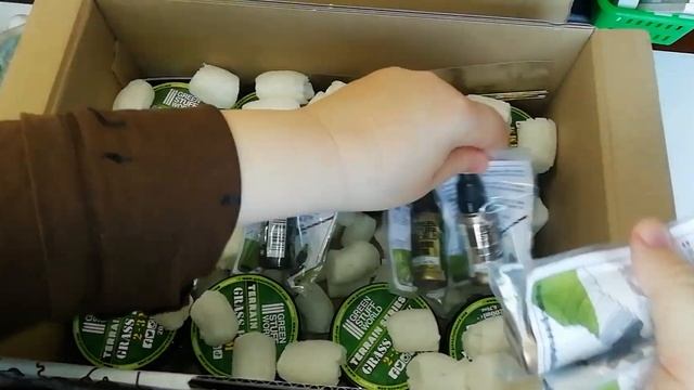 Большая осенняя посылка от @greenstuffworld / РАСПАКОВКА смотреть онлайн