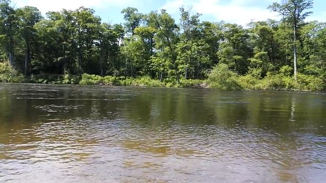 Летняя прогулка по реке Хор, Хабаровский край смотреть онлайн