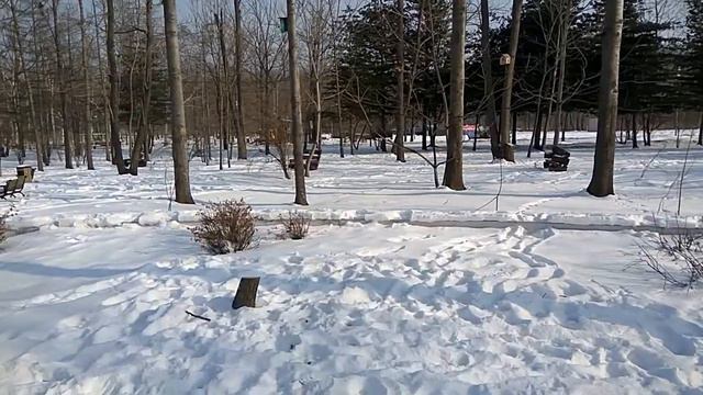 Татьянин день 25 01 2021. смотреть онлайн