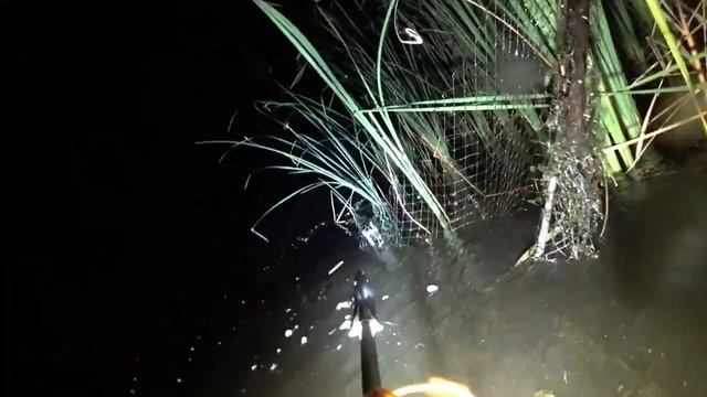 Жуткая рыбалка на Днепре ! Сом людоед на мелководье смотреть онлайн