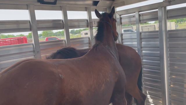 EXTREME MUSTANG MAKEOVER PICKUP | Wyvern 1 смотреть онлайн