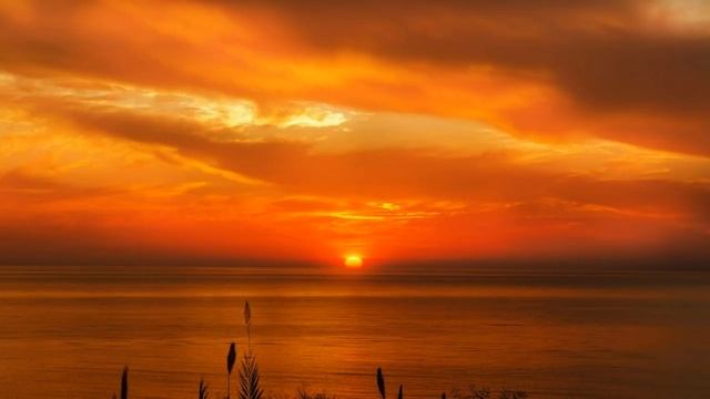 Ваше присутствие уже помогает смотреть онлайн