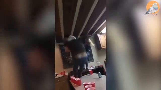 444 СЕКУНДЫ ОТБОРНЫХ ПРИКОЛОВ | #ТестНаПсихику