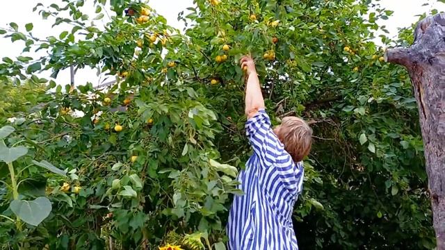 Нашла Человеческую Кость?..Пицца Для т Вали.Хлеб в Печи. смотреть онлайн