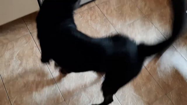 История о том, как Ведюшка ездила в Кавказские Минеральные Воды. Начало ) смотреть онлайн