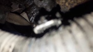 Не заводится тойота виш 2003г