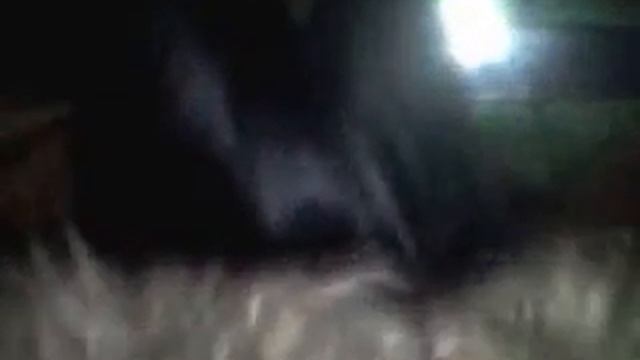 маринка учиться ездить :-D смотреть онлайн