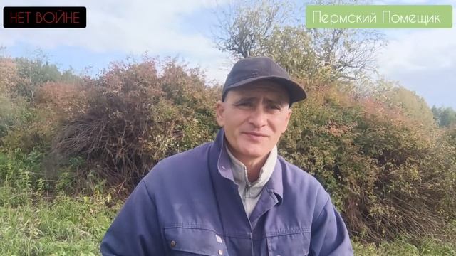 Жить стало лучше, жить стало веселей. Шея стала тоньше но зато длинней. смотреть онлайн