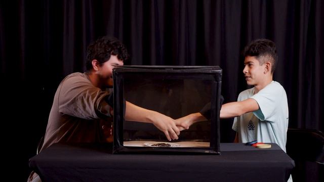 WHAT'S IN THE BOX CHALLENGE 4 (YOUTH REACT!) смотреть онлайн