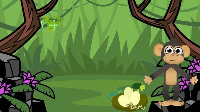 Чудесное Путешествие: От Яйца к Жизни в Мире Животных