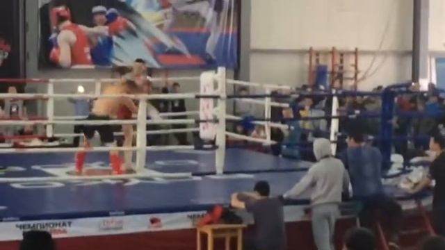 ММа семей 2017 смотреть онлайн