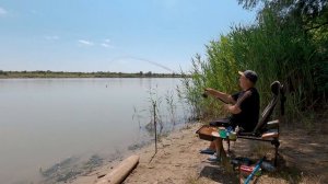Рыбалка на ФИДЕР на реке КУБАНЬ. Попал на ЖОР плотвы. РЫБА с каждого заброса