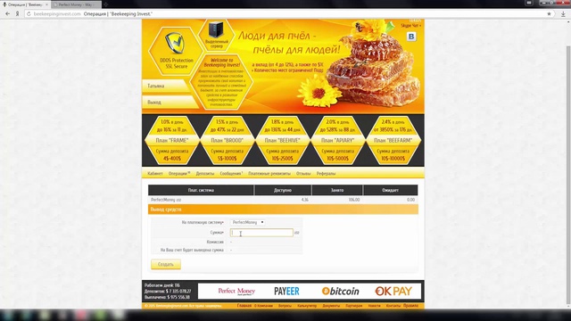 Beekeepinginvest отчет