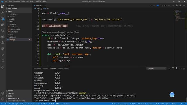python web框架 flask基础入门5 sqlalchemy数据库操作 смотреть онлайн