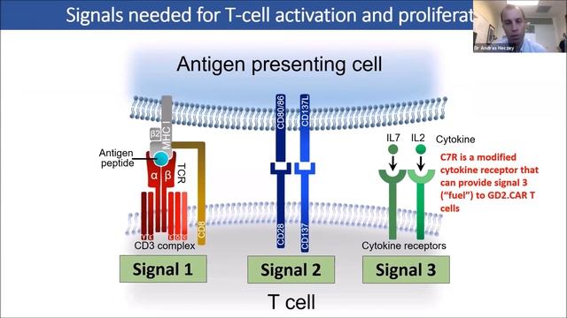 Cell Therapies in Neuroblastoma: Panel Session смотреть онлайн