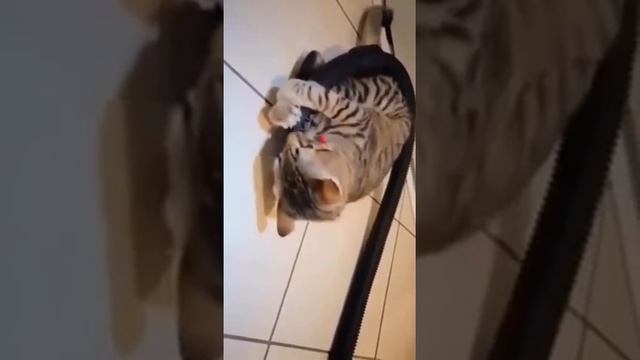 VID_20231105_181059_413.mp4