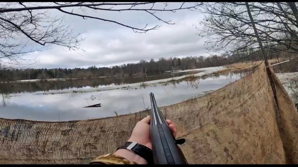Весенняя охота с подсадной. Отпустил свой весенний трофей